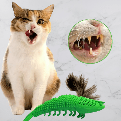 Jouets pour chats - CatnipToys™ - Vert