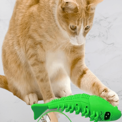 Jouets pour chats - CatnipToys™ - Vert