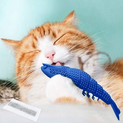 Jouet interactif chat - CatnipToys™ - Bleu