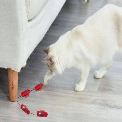 Jouet pour Chat - MiniInsecteToy™- Scarabée Rouge