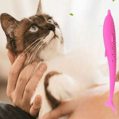 Jouet interactif chat - CatnipToys™ - Rose