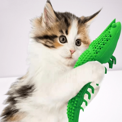 Jouets pour chats - CatnipToys™ - Vert