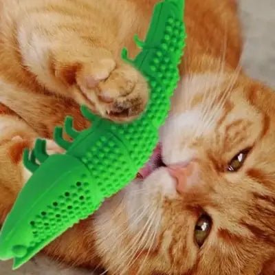 Jouets pour chats - CatnipToys™ - Vert